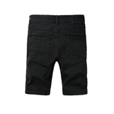 Purple Brand Denim Shorts #5108